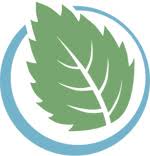 elm leaf logo